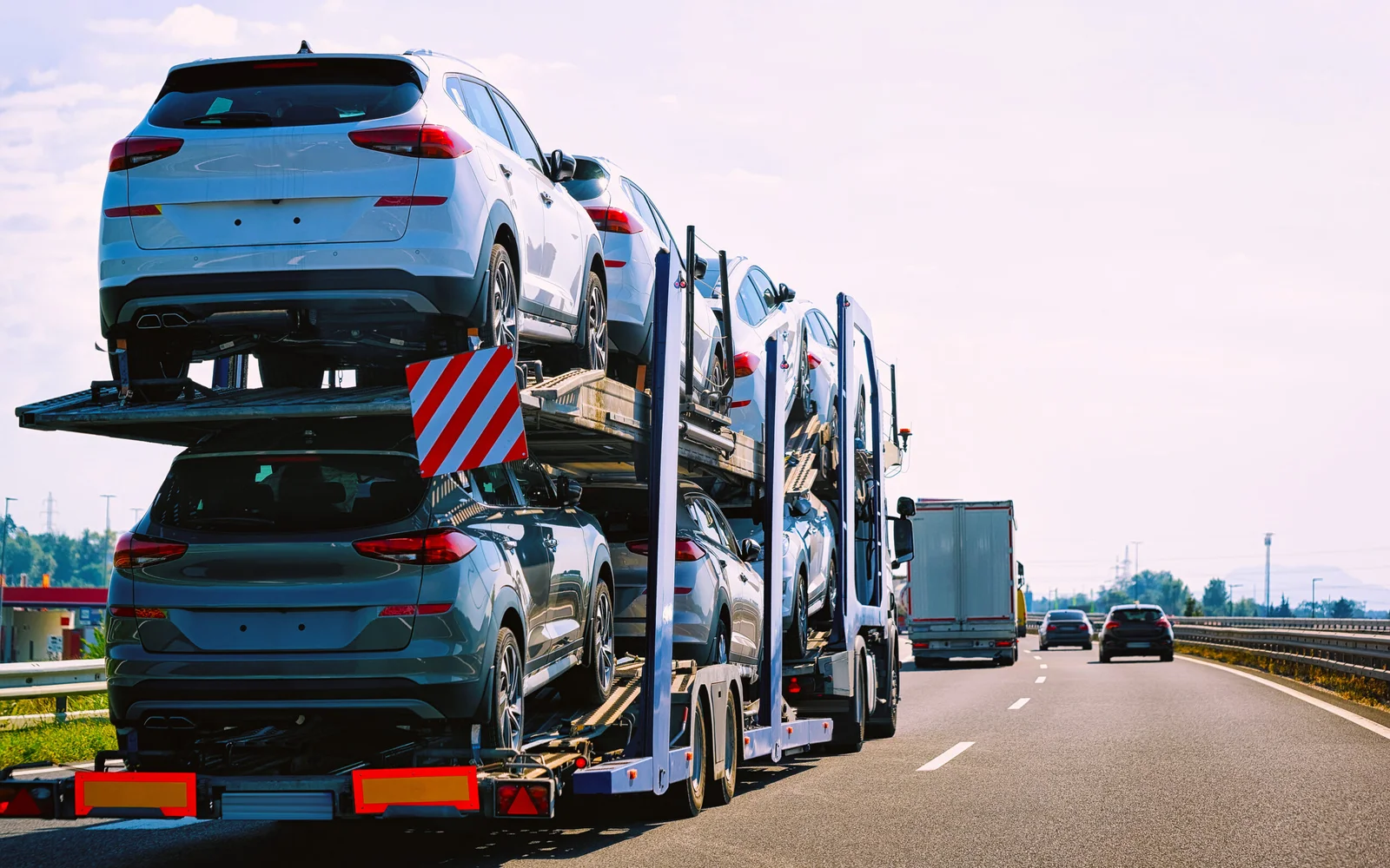 Transporte cegonha